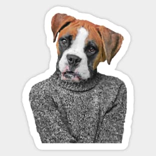 Shy Boxer Sticker